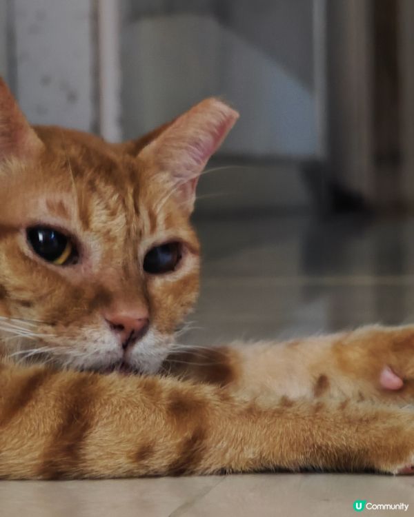 開飯前後的不同面貌：無論等幾耐，最緊要有得食