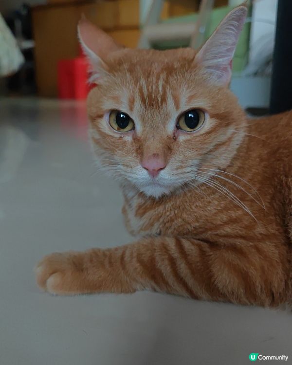 開飯前後的不同面貌：無論等幾耐，最緊要有得食