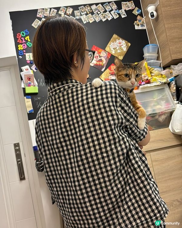 你家的毛孩叫yuzu、mikan兩個好少會埋一齊