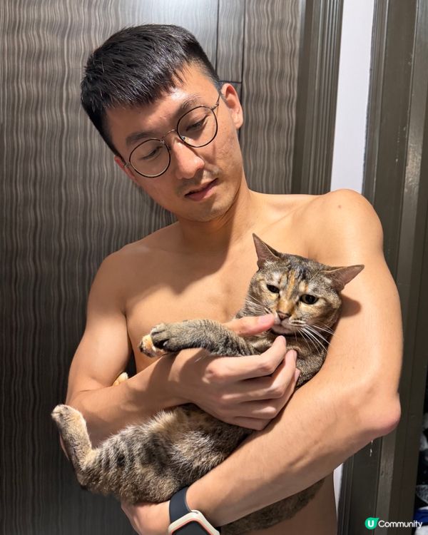 8歲嘅肥貓仔and 5歲妹妹，兩隻都係被前主人棄養，妹妹目前...