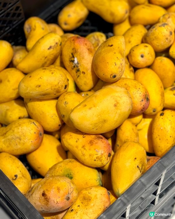 蓮塘必試純手工芋圓燒 鮮榨芒果新鮮香甜🥭