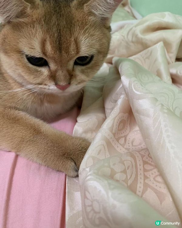 滴完眼藥水好委屈