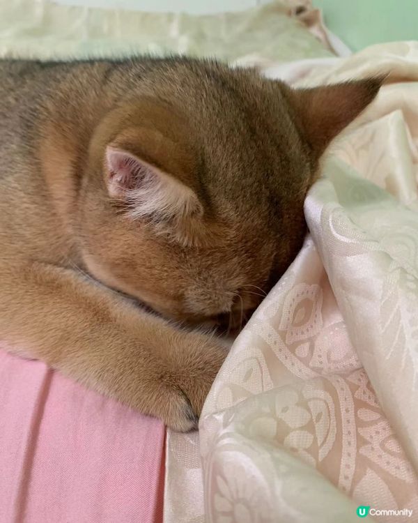 滴完眼藥水好委屈