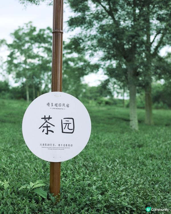 ｛港車北上｝1.5h🚙 住進惠州親子民宿🏡解鎖惠州秘境