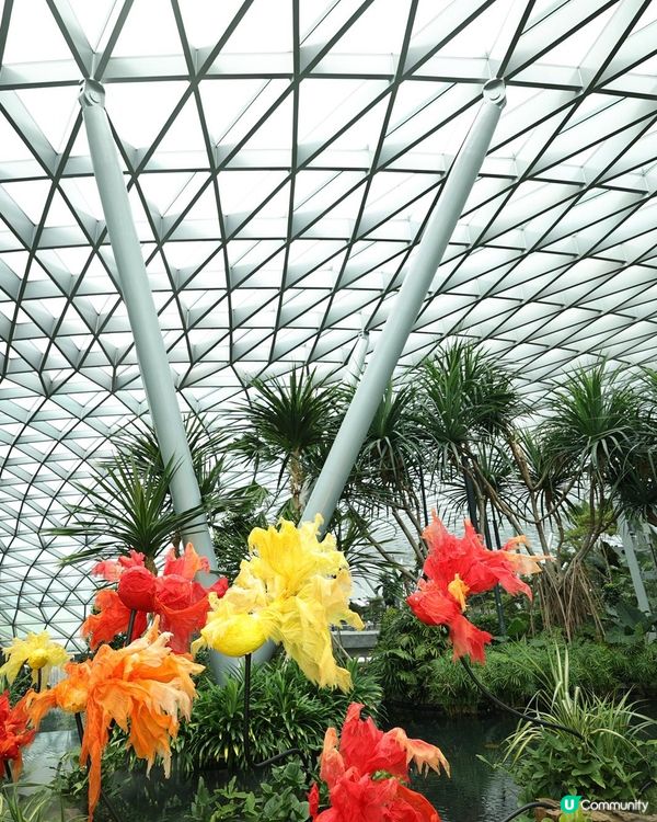 星耀樟宜 - 親子藝術探索之旅