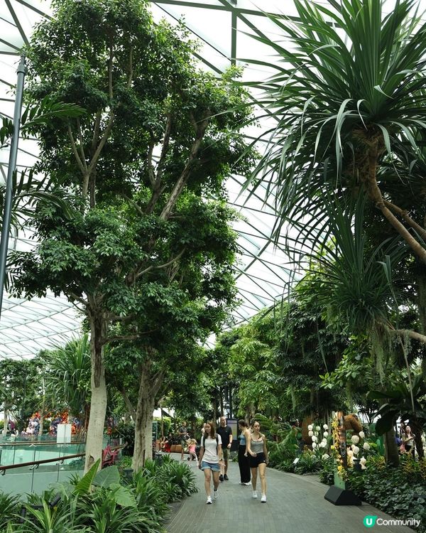 星耀樟宜 - 親子藝術探索之旅