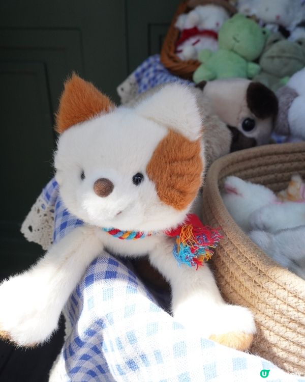 有誰未去深圳灣萬象城🍎Bay DE Apple🍎 市集？