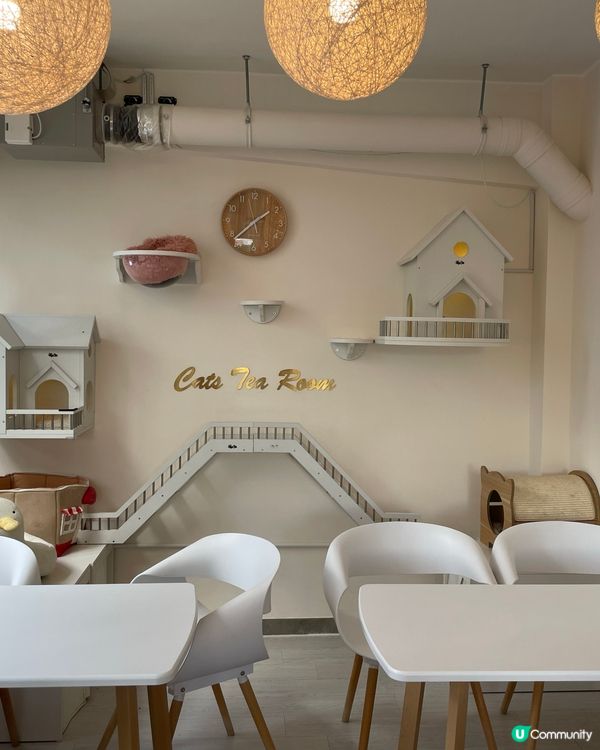 親民的貓貓Café 🐱