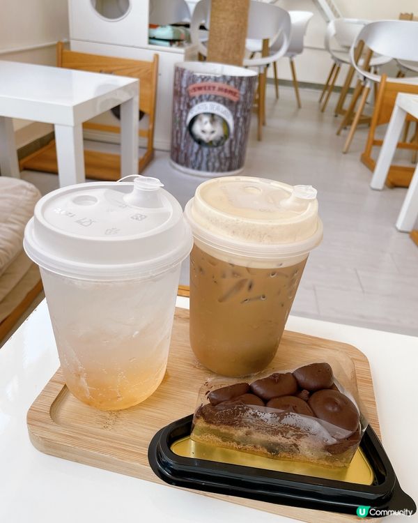 親民的貓貓Café 🐱