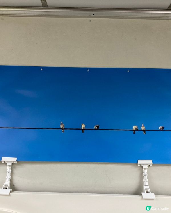 學校的藝術小展覽