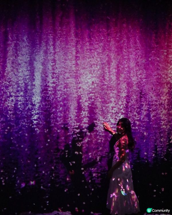 ARTE M HONG KONG 沉浸式數碼藝術美術館