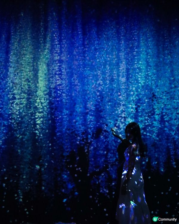 ARTE M HONG KONG 沉浸式數碼藝術美術館