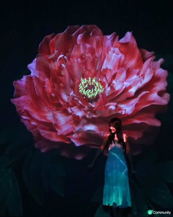 ARTE M HONG KONG 沉浸式數碼藝術美術館