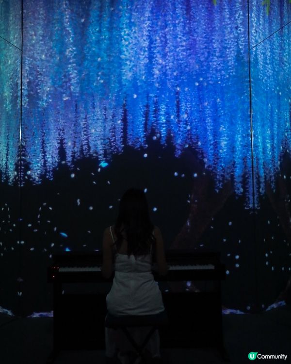 ARTE M HONG KONG 沉浸式數碼藝術美術館