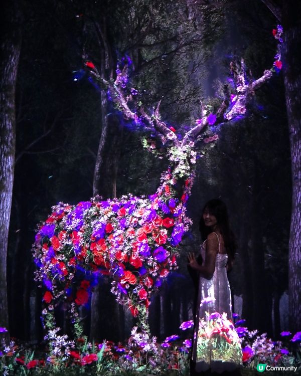 ARTE M HONG KONG 沉浸式數碼藝術美術館