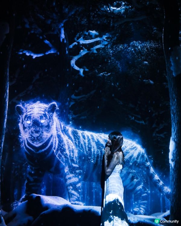 ARTE M HONG KONG 沉浸式數碼藝術美術館