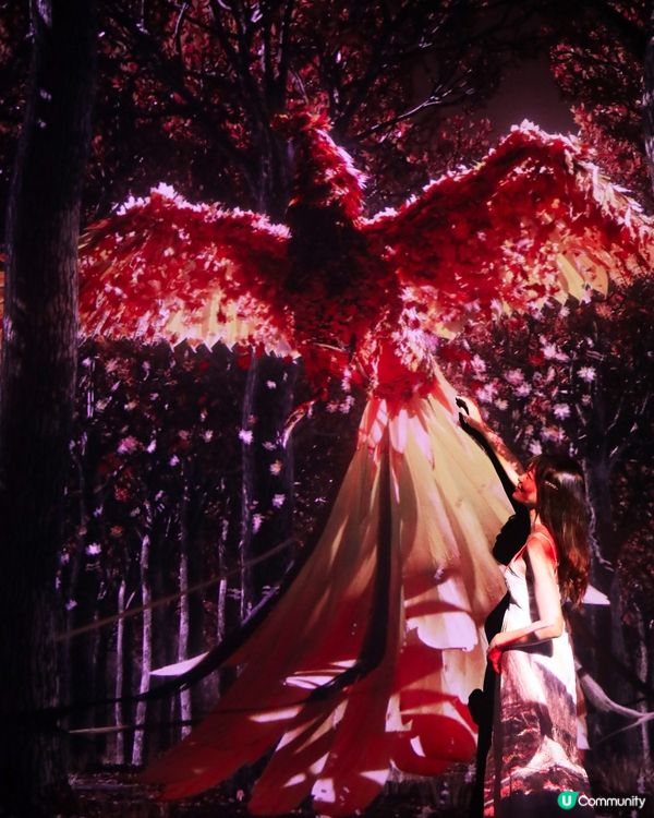 ARTE M HONG KONG 沉浸式數碼藝術美術館