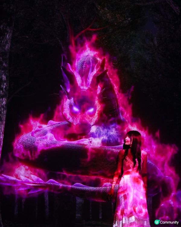 ARTE M HONG KONG 沉浸式數碼藝術美術館