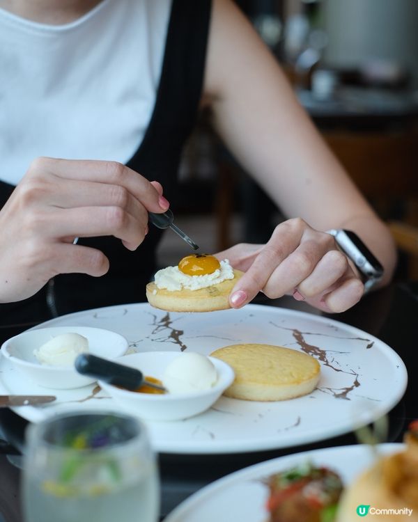 《蛋黃哥同你Tea 一Tea》