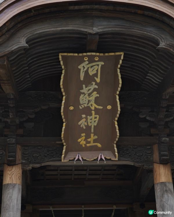 熊本自駕遊必去！阿蘇神社⛩️