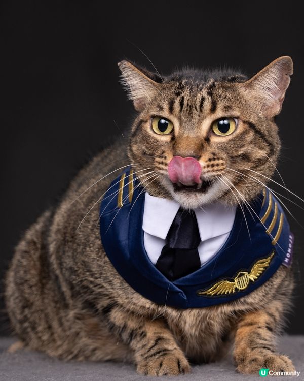 衝上雲霄之團長篇