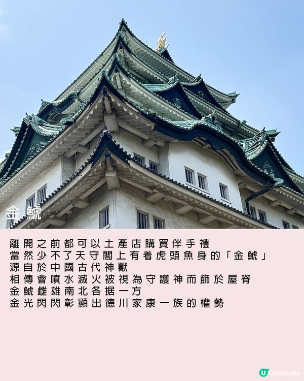 古色古香的名古屋/名古屋城/金鯱