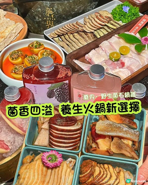 菌香四溢 養生火鍋新選擇