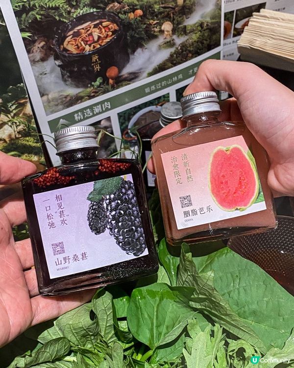 菌香四溢 養生火鍋新選擇