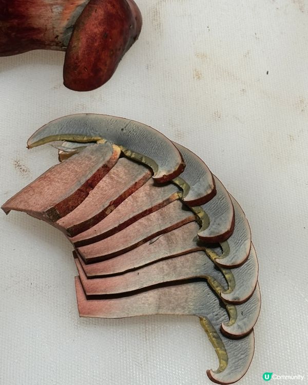 菌香四溢 養生火鍋新選擇