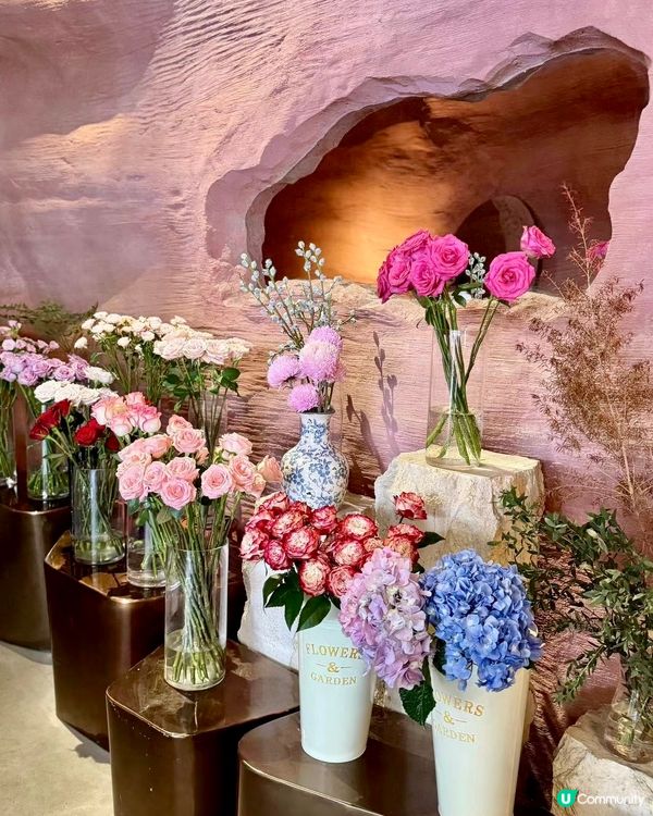 深圳峽谷風x花系打卡餐廳 亞洲最大摩天輪西餐廳最佳環境位🎡 