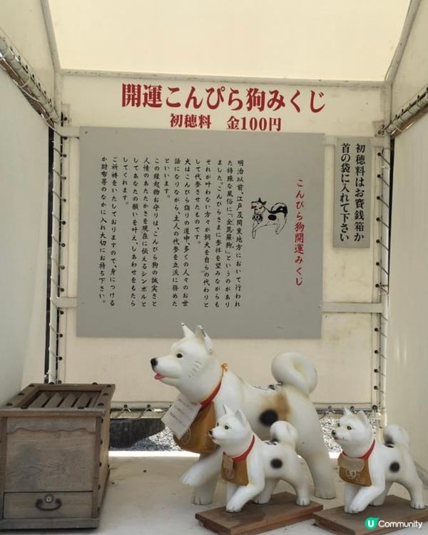 位於四國的金刀比羅宮係廣受日本人喜愛的神社，它以過千級階梯聞...