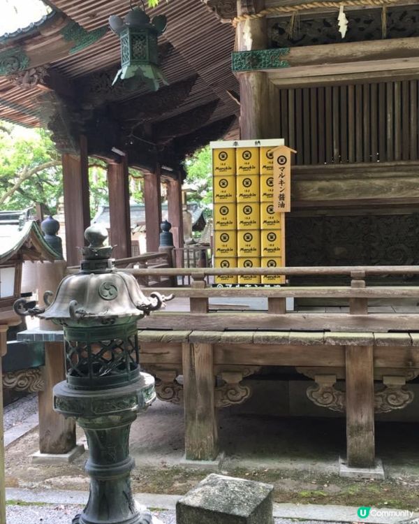 位於四國的金刀比羅宮係廣受日本人喜愛的神社，它以過千級階梯聞...