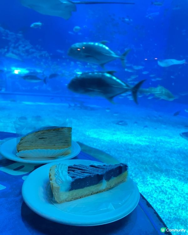 去到沖繩必到地點：美麗海水族館！水族館位於沖繩北部的本部町，...