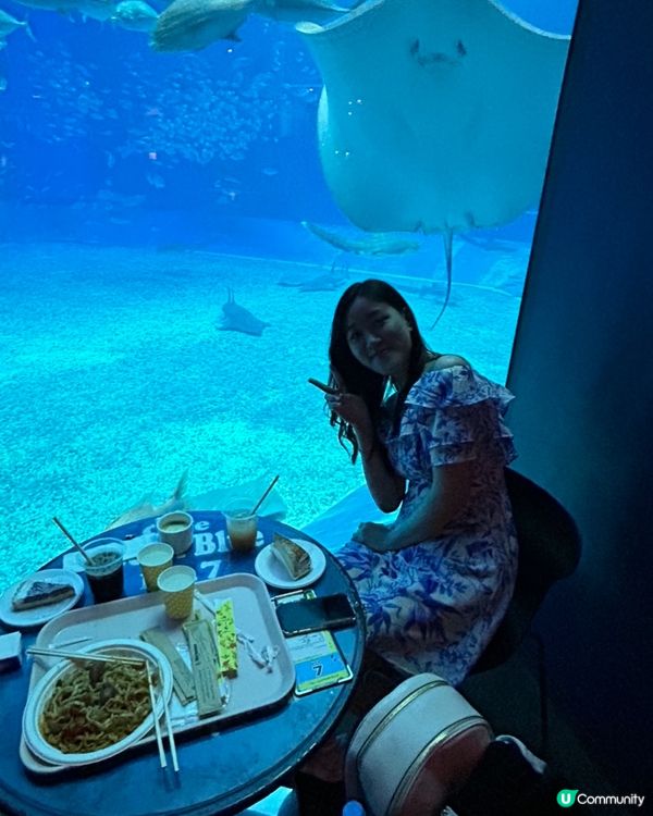 去到沖繩必到地點：美麗海水族館！水族館位於沖繩北部的本部町，...