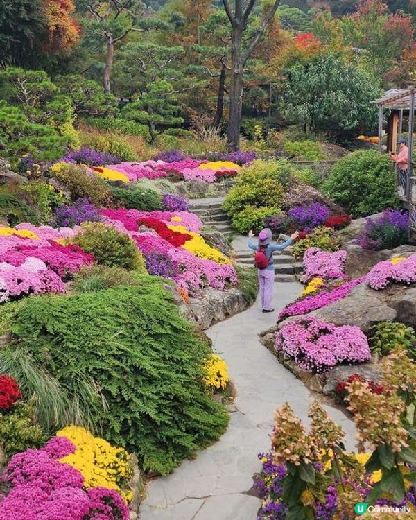 南怡島風景怡人，四季分明，不同時節都有令人驚艷的美景，是非常...