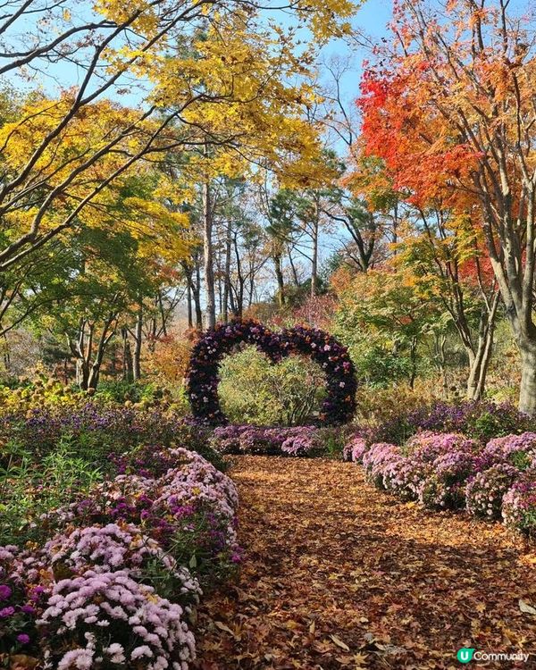 南怡島風景怡人，四季分明，不同時節都有令人驚艷的美景，是非常...