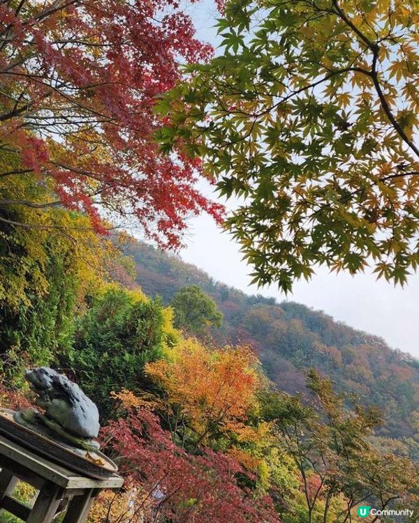 南怡島風景怡人，四季分明，不同時節都有令人驚艷的美景，是非常...