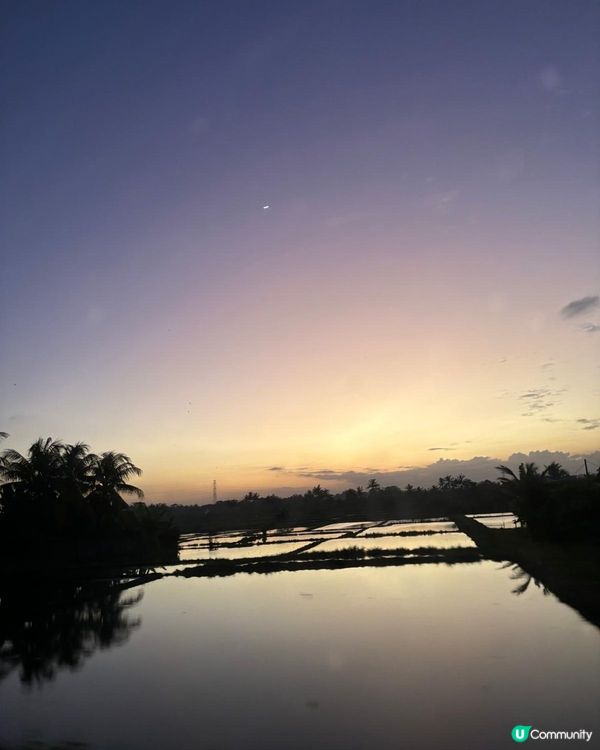 第一次去峇里島，估唔到係咁靚咁好玩。洗費好平好抵，平均每餐有...