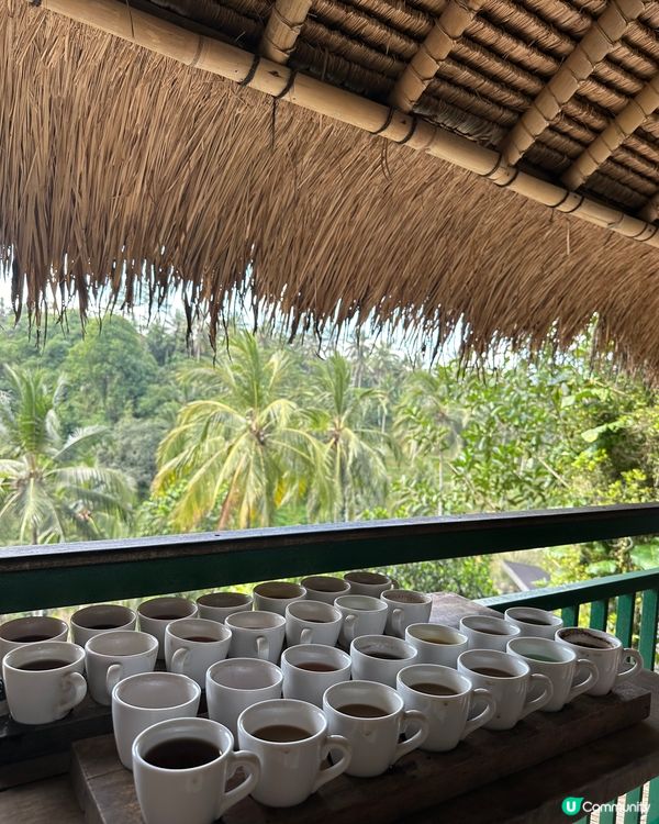 第一次去峇里島，估唔到係咁靚咁好玩。洗費好平好抵，平均每餐有...