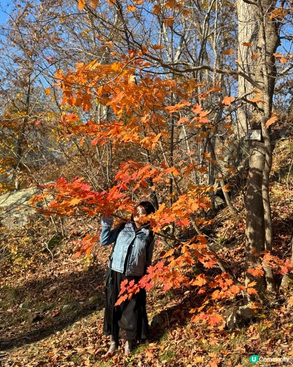 🗺️《開始plan吓》🎌 北海道大沼公園🍁 秋天湖光山色 