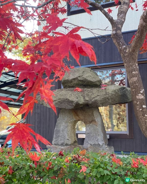 🗺️《開始plan吓》🎌 北海道大沼公園🍁 秋天湖光山色 