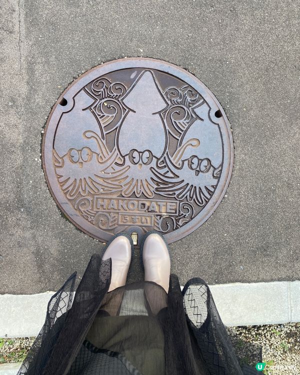 🗺️《開始plan吓》🎌 北海道大沼公園🍁 秋天湖光山色 