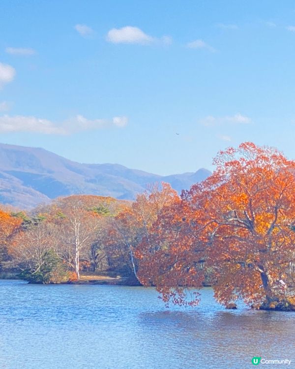 🗺️《開始plan吓》🎌 北海道大沼公園🍁 秋天湖光山色 