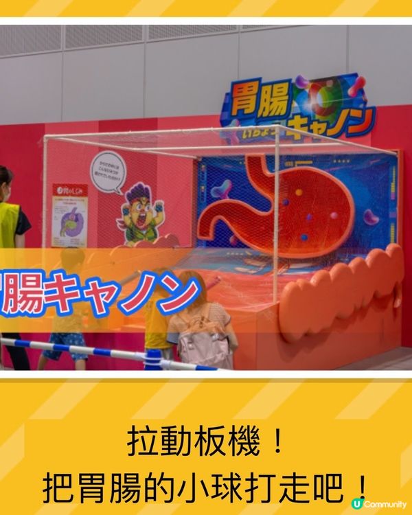 《親子活動》走進巨大的身體內進行大冒險‼️