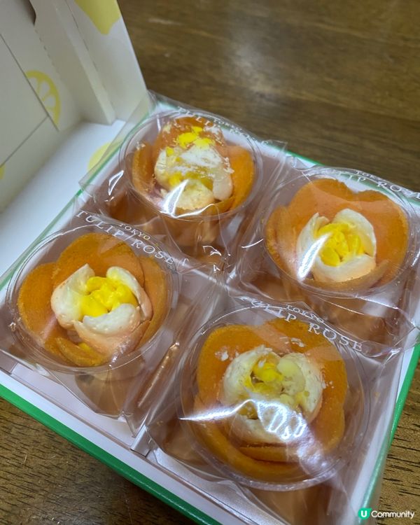 TULIP ROSE夏天限定