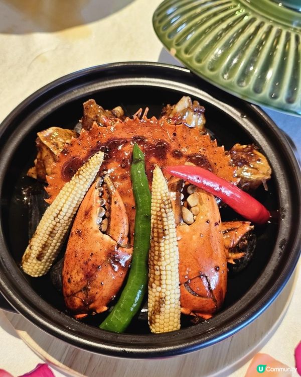 🍷浪漫氛圍。金椰殼·新加坡料理Shiok Coco