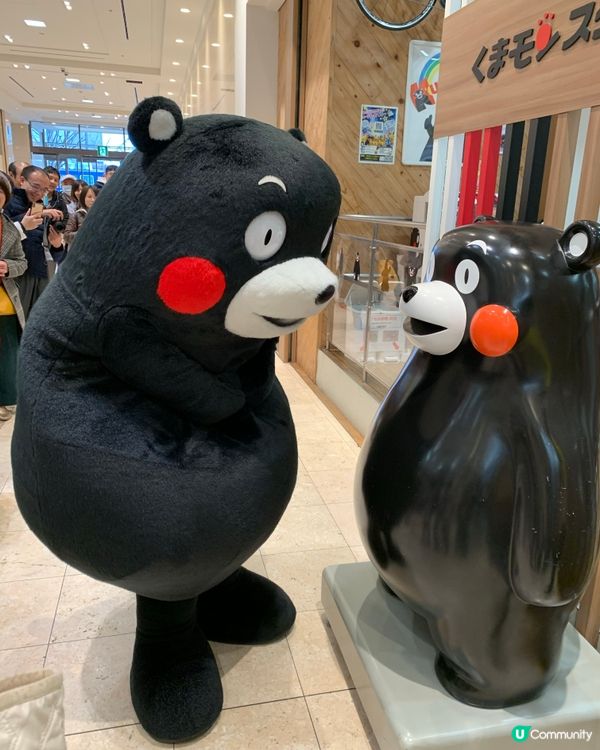 日本🇯🇵熊本熊🐻相認😅