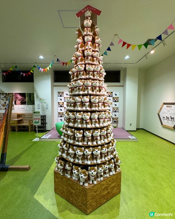 🎌喺秋田縣睇秋田犬🐶