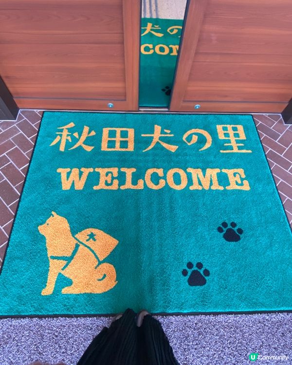 🎌喺秋田縣睇秋田犬🐶