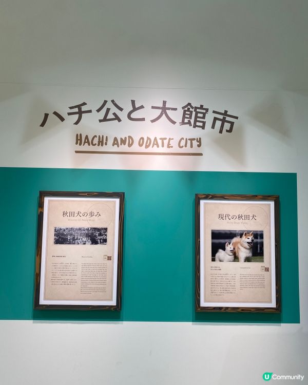 🎌喺秋田縣睇秋田犬🐶